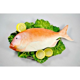 Fish - Red Snapper